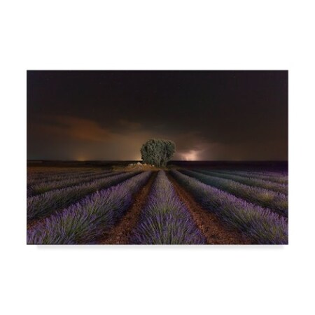 Trademark Fine Art Arsenio Galvez 'Lavanda And Rayos' Canvas Art, 22x32 1X06405-C2232GG